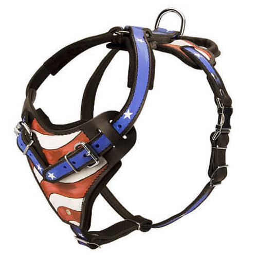 ШЛЕЙКА КОЖАНАЯ С ДЕКОРАТИВНЫМ РИСУНКОМ РУЧНОЙ РАБОТЫ (Н1/R) XL