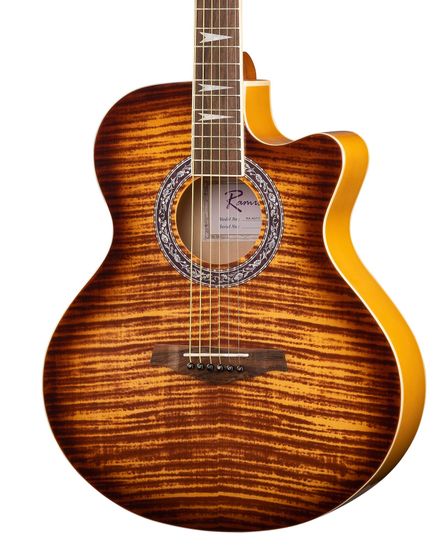 Акустическая гитара Ramis RA-A01C