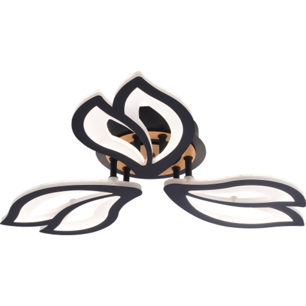 Светильник потолочный светодиодный Rivoli Lana 6195-703 LED 3000-6250К 60 Вт с пультом | Интерьерные светодиодные светильники