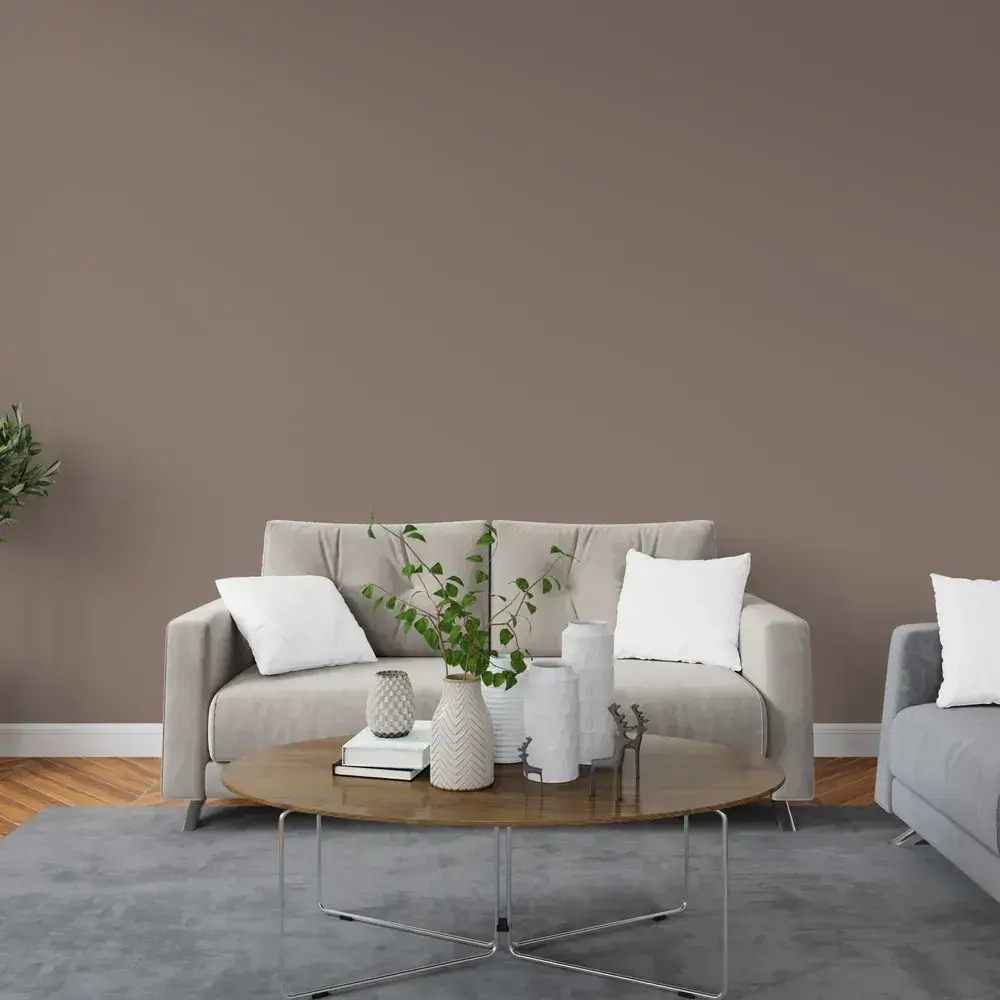 Краска интерьерная PARITET Кофе Пралине 2,5 л