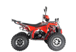 Квадроцикл Wels Thunder EVO X 125 красный