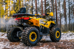 Квадроцикл WELS Thunder Trail 125 PRO