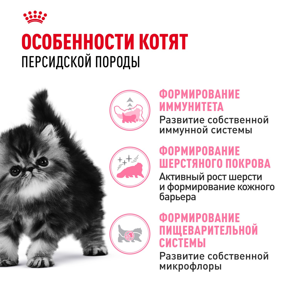 Royal Canin Persian Kitten Персиан Киттен Корм сухой для котят персидской породы до 12 месяцев 10кг