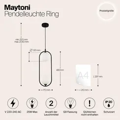 Подвесной светильник Maytoni MOD013PL-02B