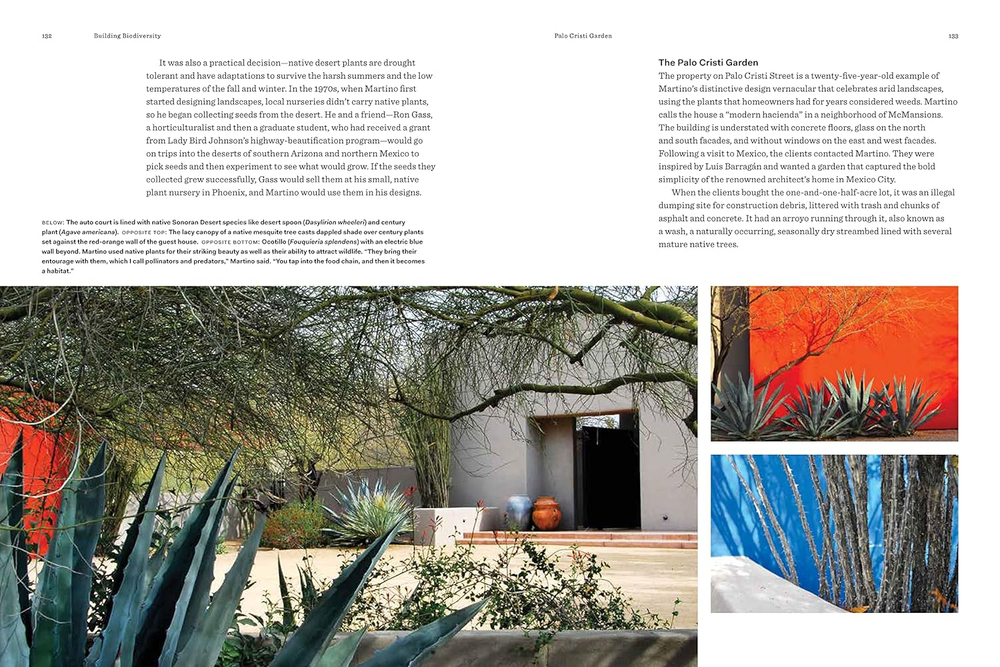 Beyond the Garden: Designing Home Landscapes with Natural Systems