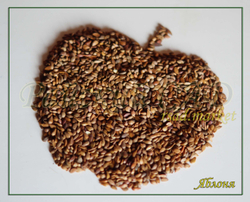 Семена Яблони для подвоя 1 кг