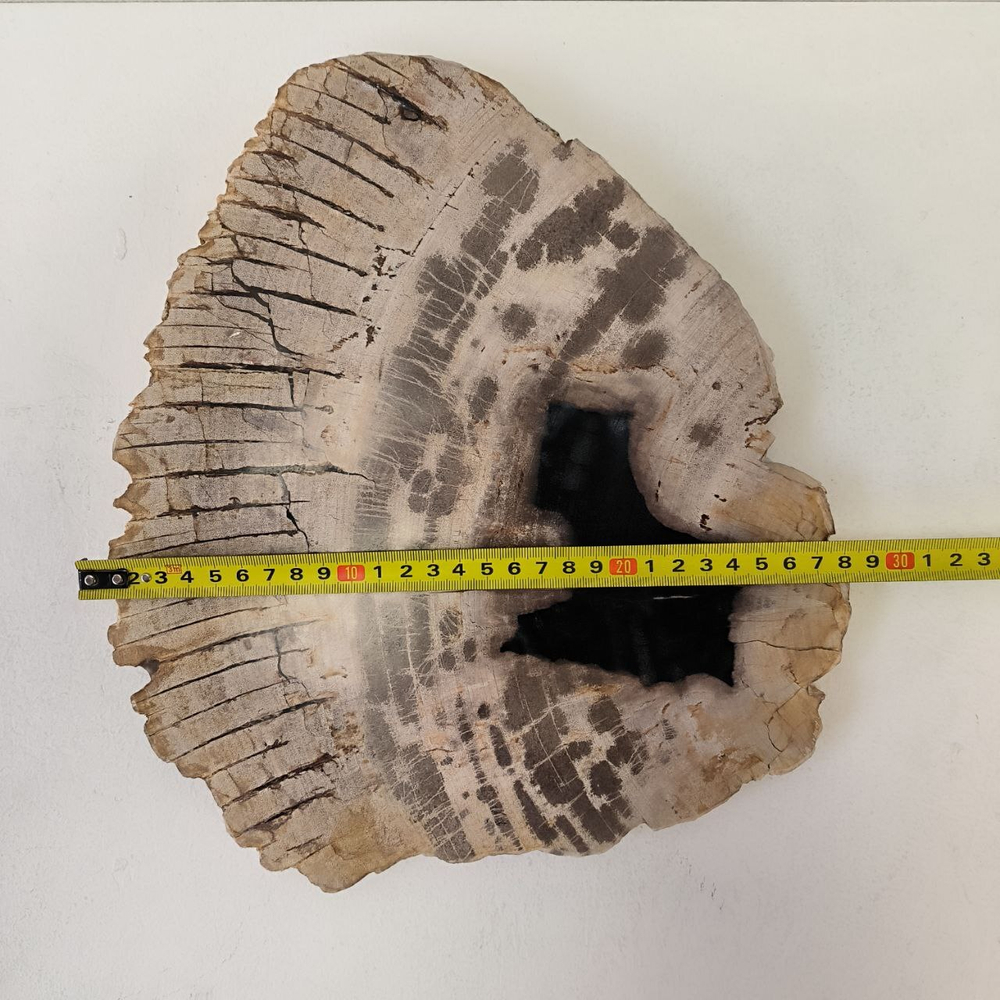 Набор из окаменелого дерева 4 предм Fossil Set NF-63294 поднос 149