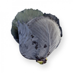 Ресима F1 семена капусты краснокочанной (Rijk Zwaan / Райк Цваан)