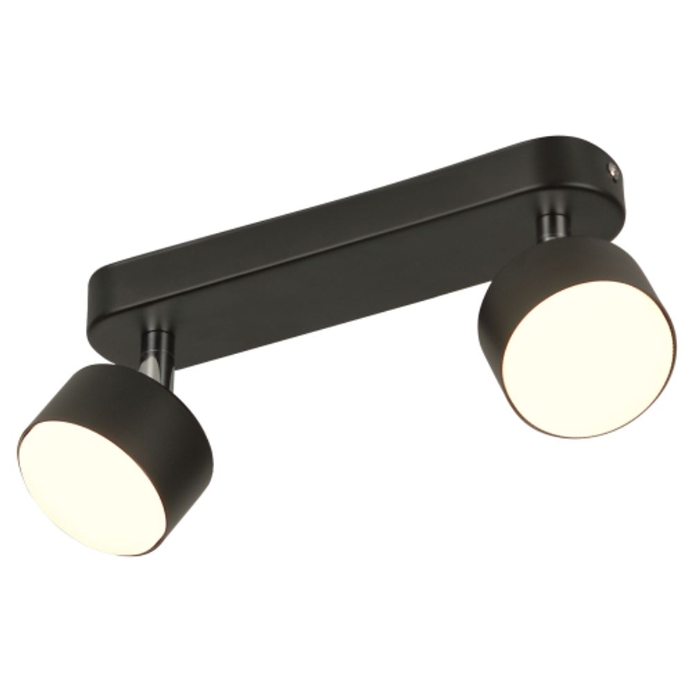 Светильник настенно-потолочный спот Rivoli Alesta 7079-702 2хGX53 15 Вт поворотный | Rivoli