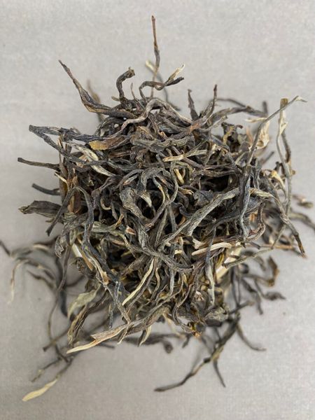 Мао ча Шен ИУ, 2017