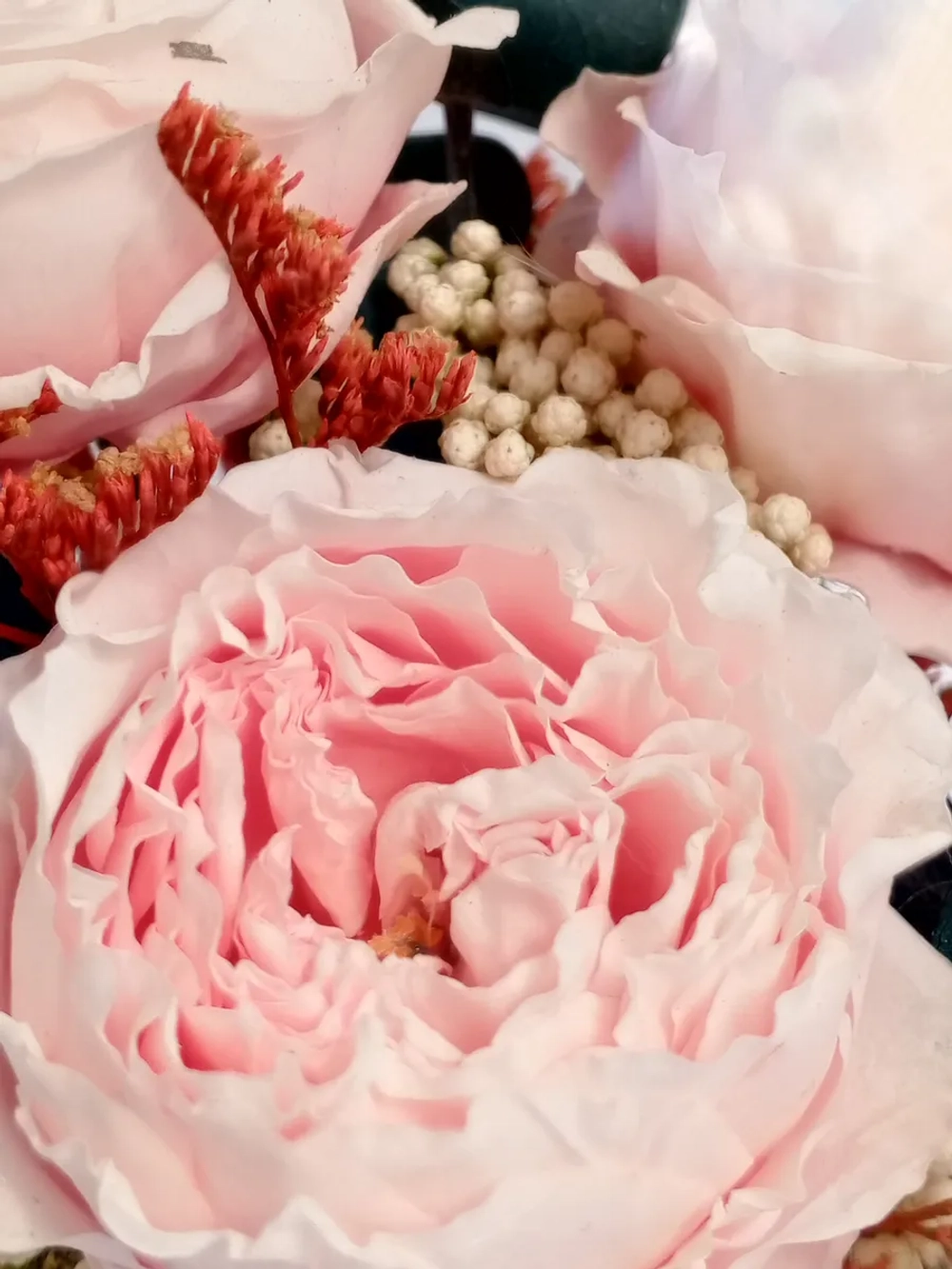 натуральные пионы в стекле, вакуум*