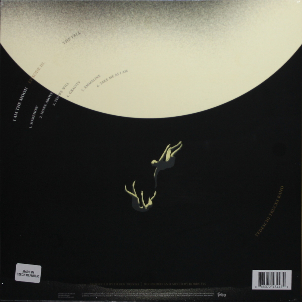 Tedeschi Trucks Band / I Am The Moon: III. The Fall (LP)