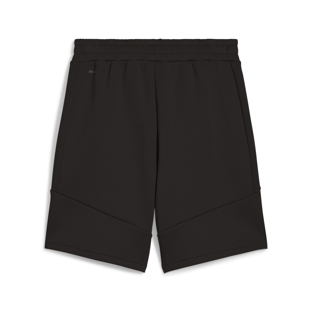 Мужские шорты PUMA EVOSTRIPE Shorts