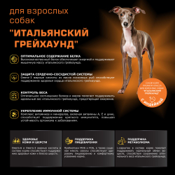 Корм сухой для взрослых собак породы Итальянский грейхаунд, с индейкой, 2,5 кг, QUATTRO