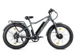Электрофэтбайк VOLTECO BigCat Dual Next (черный)