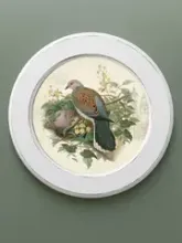 Птицы