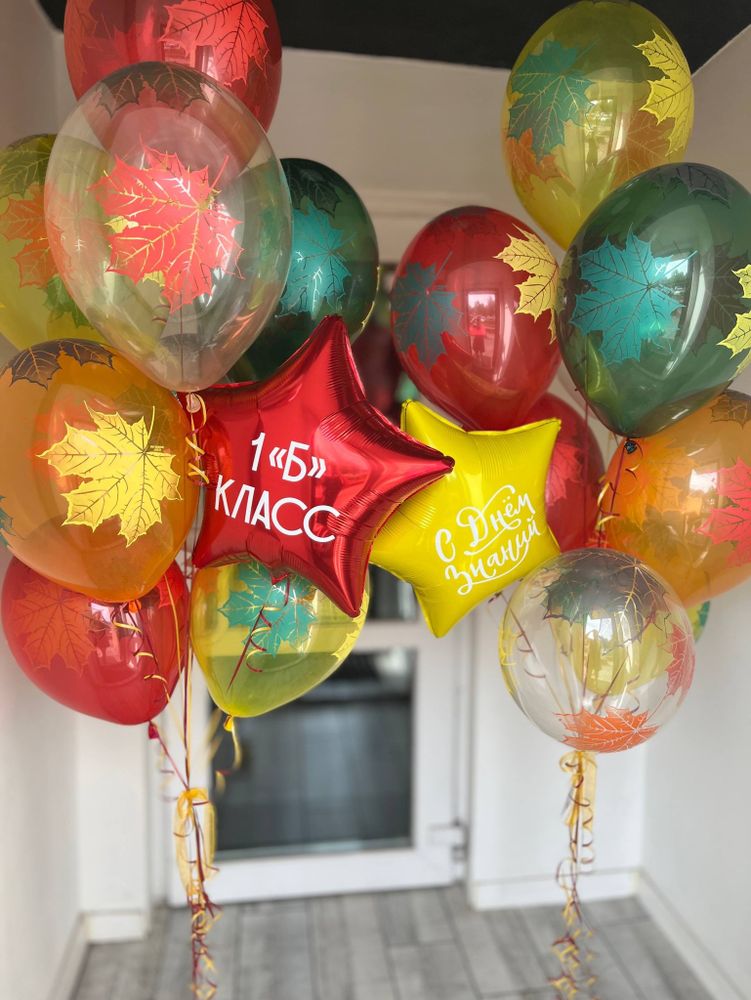 Воздушные шары на день знаний клиновый лист №3693