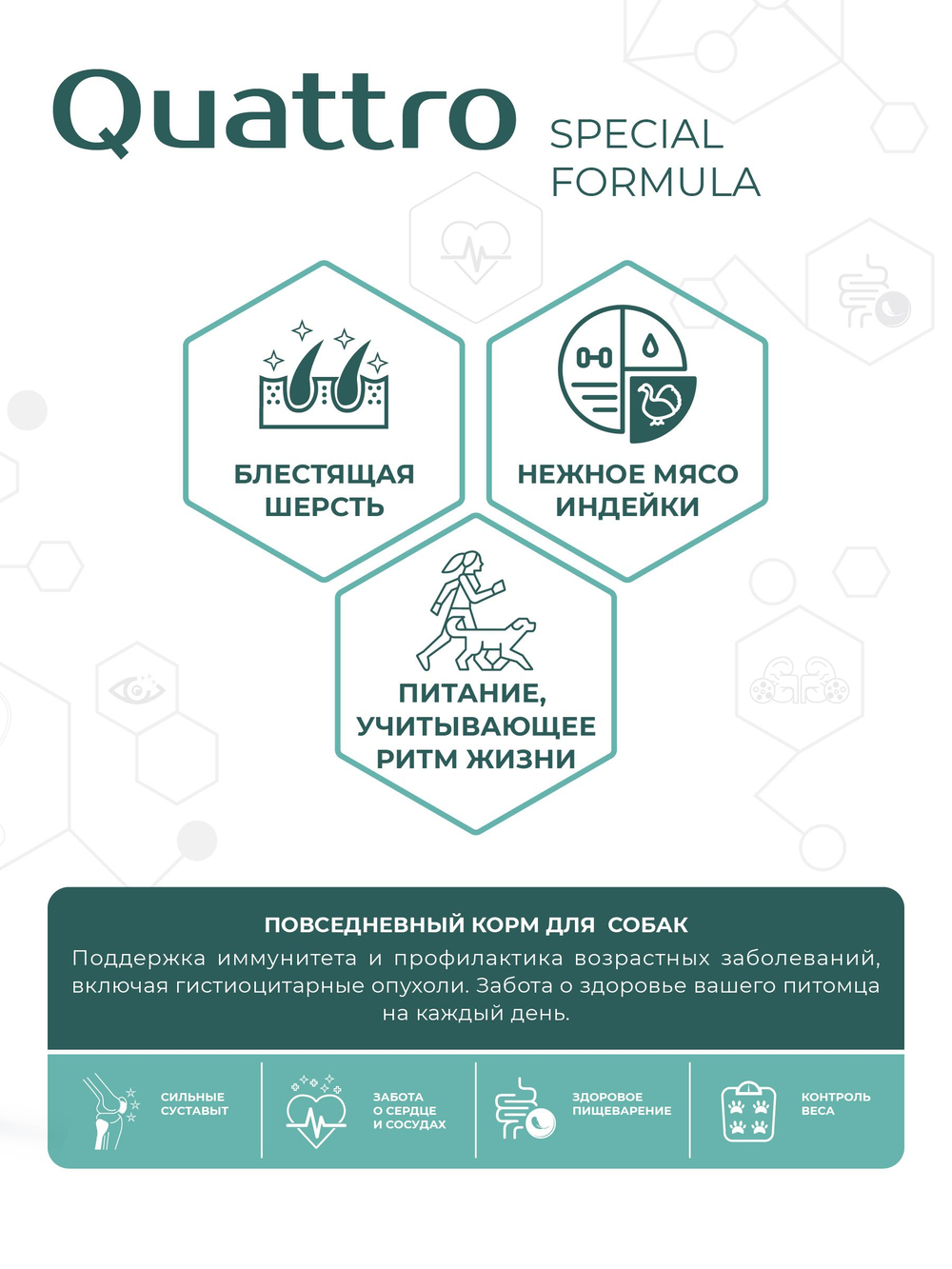 Корм для собак средних и крупных пород SF Immuno Balance, (гистиоцитарные опухоли), 3 кг, QUATTRO