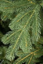 Большая елка «Городская» (Литая хвоя) 5 м