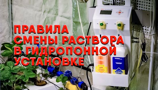 Правила смены раствора в гидропонной установке