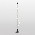 Напольный светильник (торшер) Maytoni MOD166FL-L15B3K