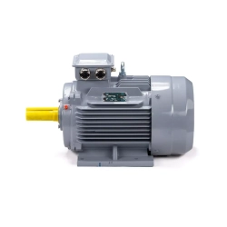 Электродвигатель ESQ PR 160 M6 GST-Б1-S12-IE2 15/1000 IM1001