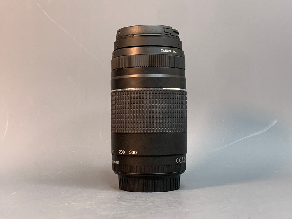 Canon EF 75-300mm 4-5.6 III