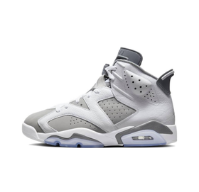 Мужские кроссовки Air Jordan 6 retro "cool grey" CT8529-100
