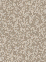 Флоренция-фон 21 (светло-серая)