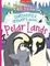 Curious Questions &amp; Answers About Polar Lands
