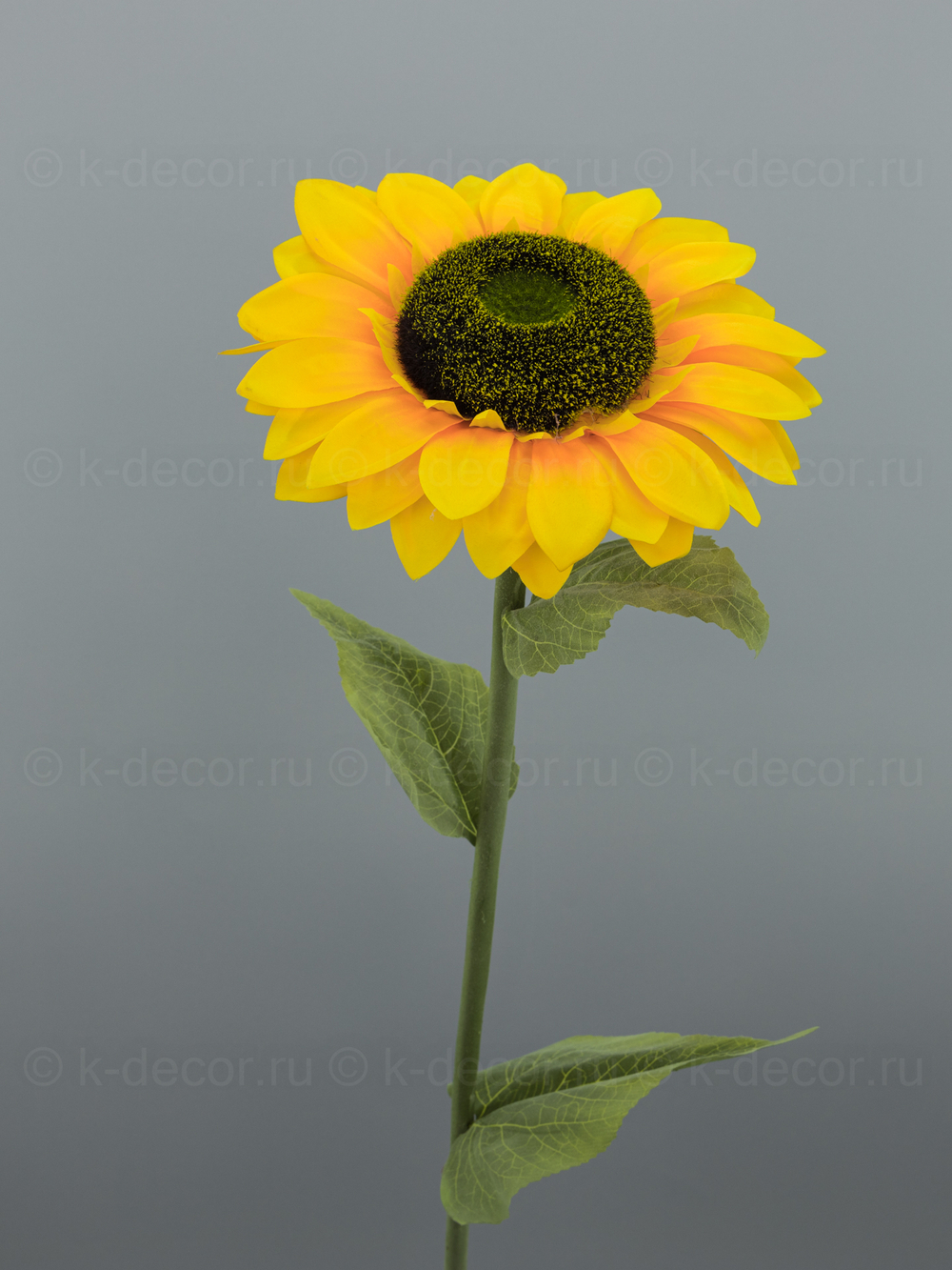 Подсолнух БИГ одноголовый