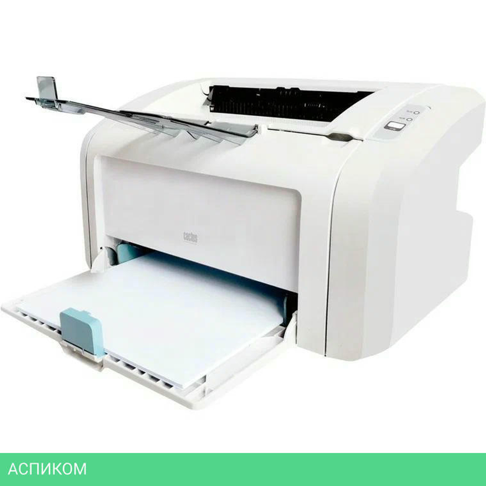 Принтер Cactus CS-LP1120W