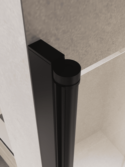 Душевая дверь RGW PA-104B (1000)