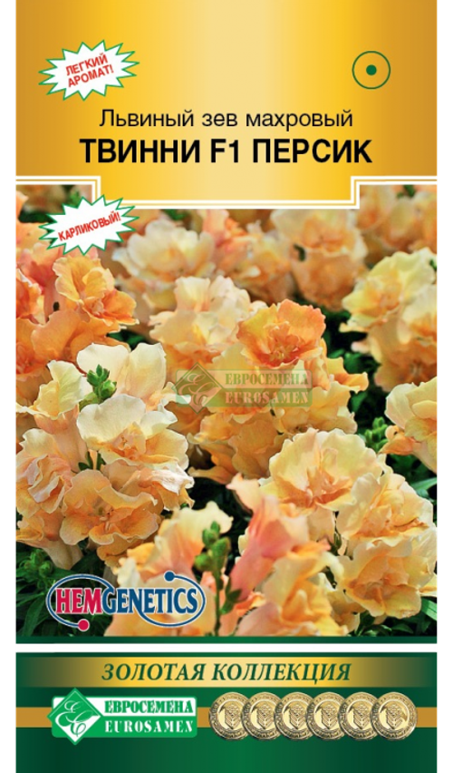 Львиный зев махровый Твинни F1 Персик