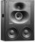 Genelec 1238DFM