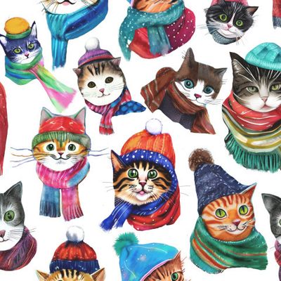 Зимние котики