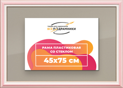 Рамка 45x75 для постера и фотографий