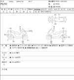 Honda PS250 Big Ruckus 041447