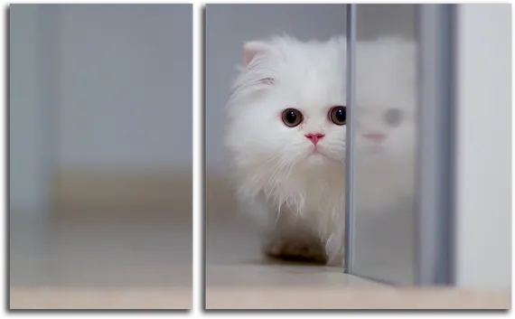 Модульная картина "Пушистый друг"