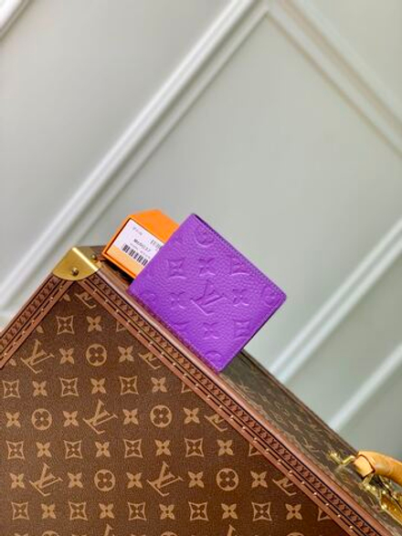Louis Vuitton Multiple Wallet