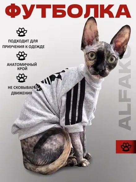 Одежда для кошек