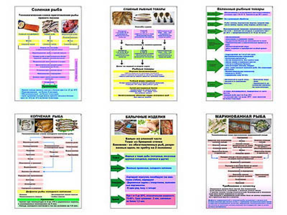 Плакаты ПРОФТЕХ &quot;Технологические схемы приготовления рыбы&quot; (6 пл, винил, 70х100)