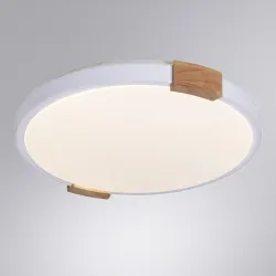 Потолочный светильник Arte Lamp