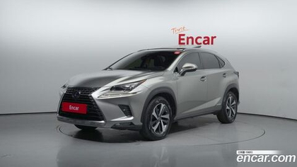 Lexus NX300h 슈프림 (08.2019)
