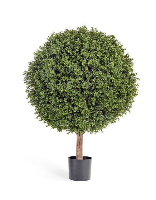 Самшит Шар-Гигант уличный новый в-120 см д-90х80 см 1/1 10.445XXL