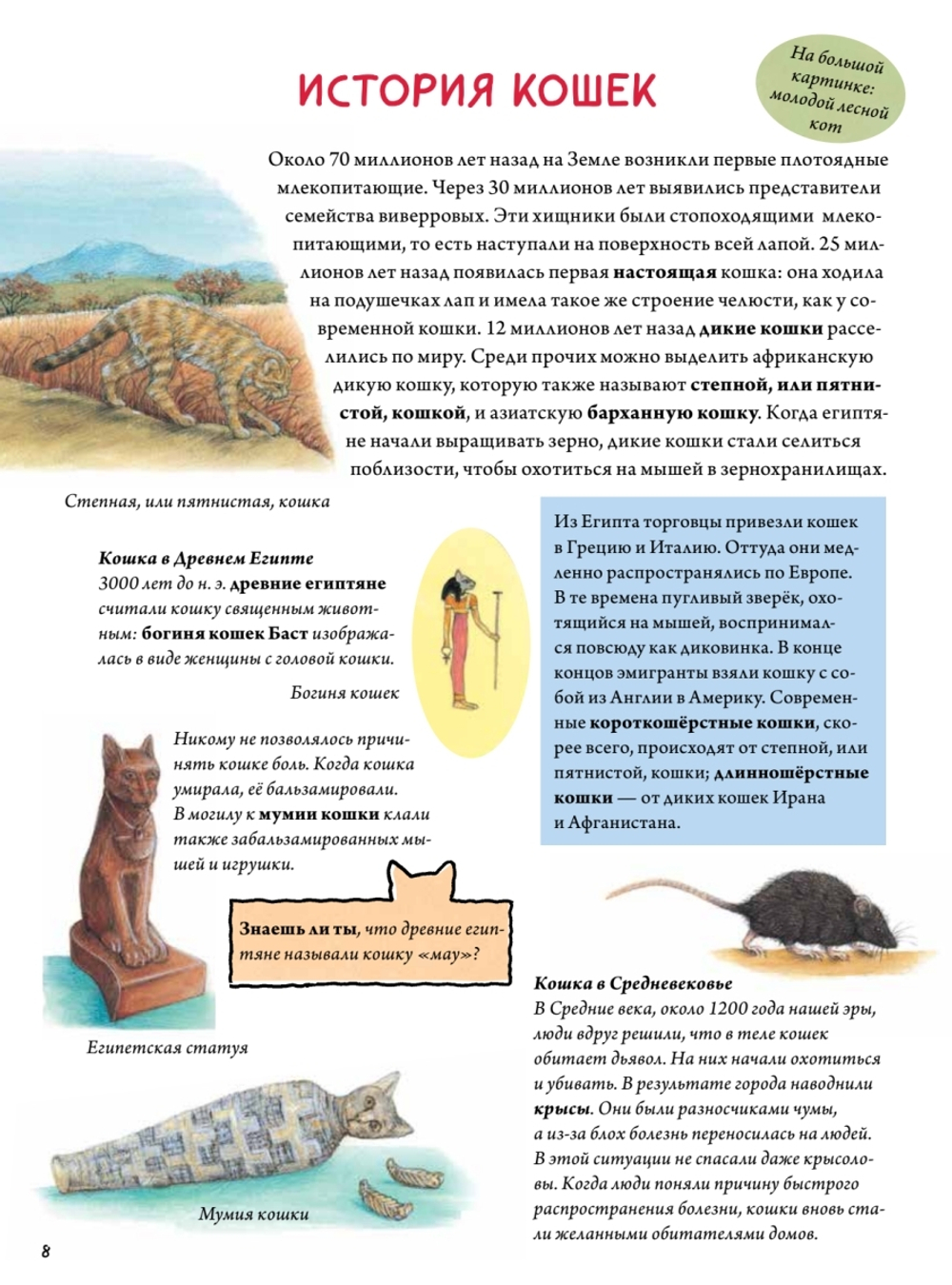Моя самая красивая книга о кошках и собаках