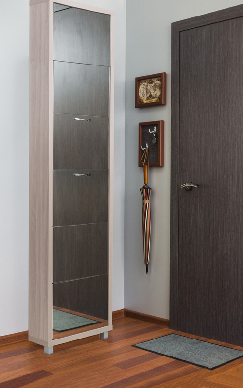 Обувница в прихожую для обуви Айрон Люкс 6 секций