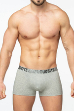 Мужские трусы-боксеры с пришивной резинкой (Размер: L) (Цвет: черный)