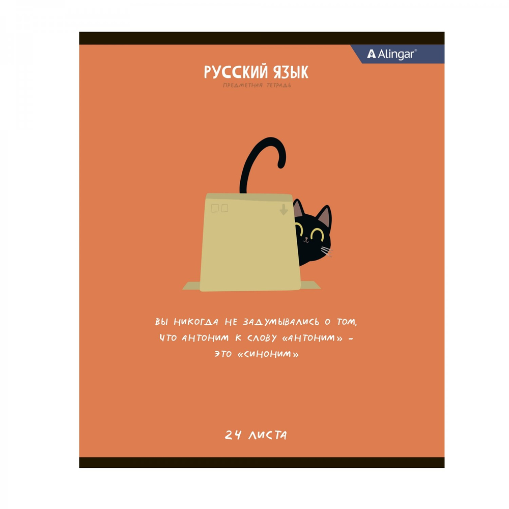 Тетрадь предметная 24л. А5 "Русский язык" со справочным материалом, скрепка, мелованный картон (стандарт), блок офсет, Alingar "Чёрный котик"