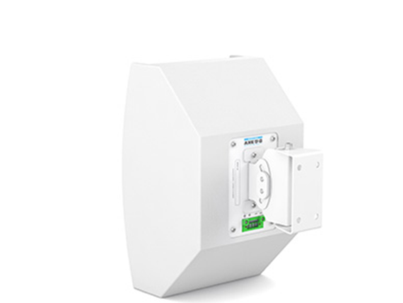 CVGaudio AXE5:DANTE-W – активная двухполосная акустическая система